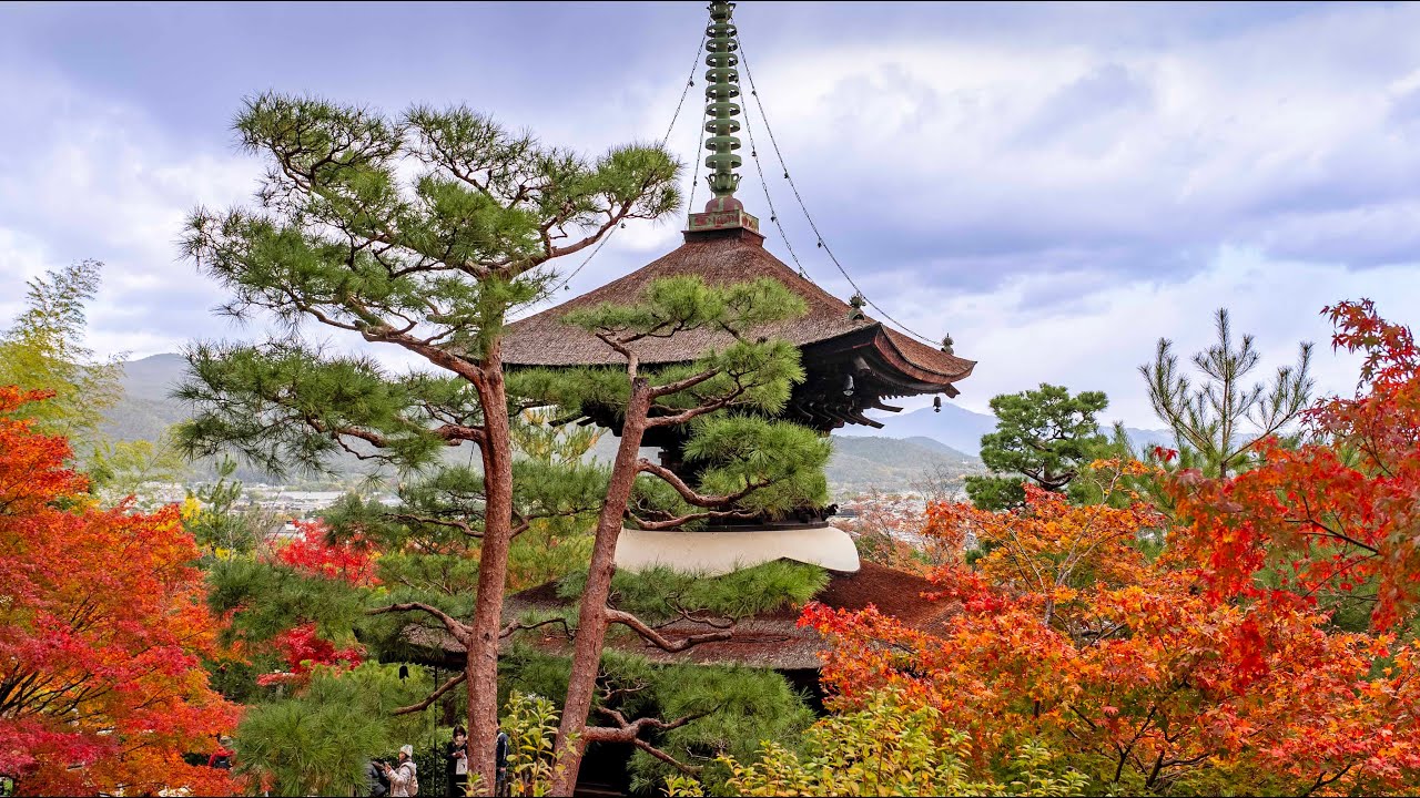 日本 京都紅葉 (Vlog #3) 嵐山 | Beautiful autumn in Arashiyama, Kyoto, Japan #Japantravel #kyotosightseeing
