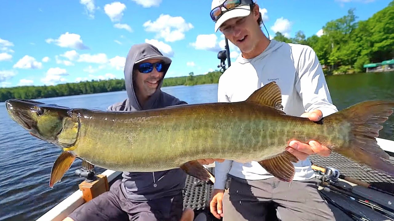 Best Cold Front Musky Lure EVER?