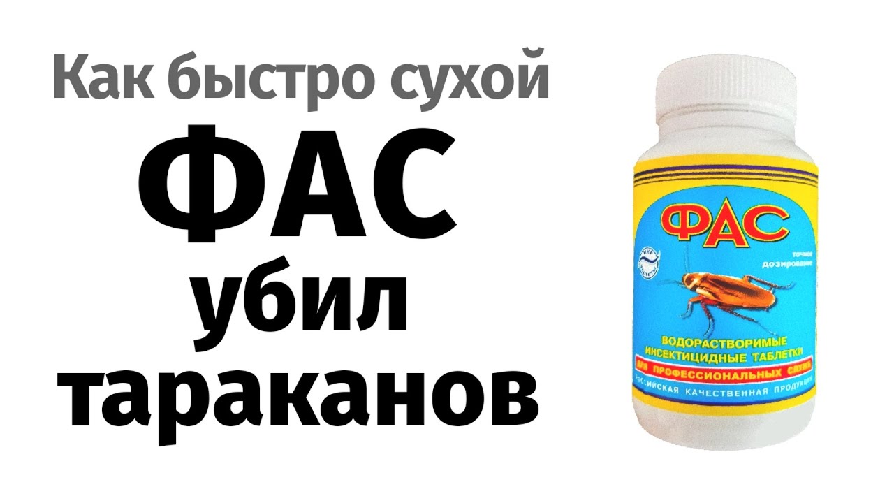 Как быстро высохший Фас убил тараканов?