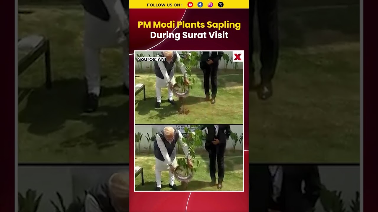 #watch | PM Narendra Modi Plants Sapling In Surat, Gujarat #pmmodi #shorts
