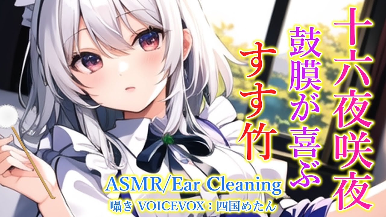 【ASMR】咲夜は夏バテ気味のあなたに耳かきをして癒やしたい！(すす竹・左耳→右耳→両耳同時・睡眠導入)【3Dio】【touhou】Ear Cleaning