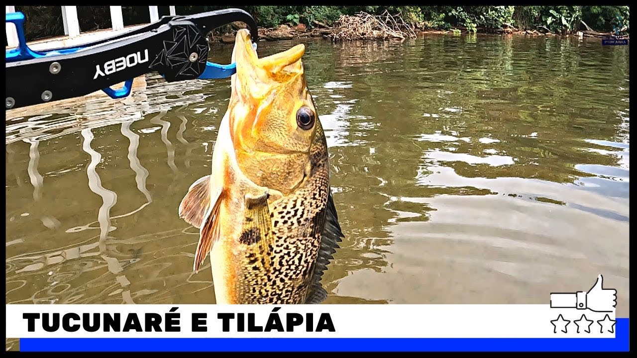 PESCARIA DE CAIAQUE NO LAGO PARANOÁ TUCUNARÉ E TILÁPIA
