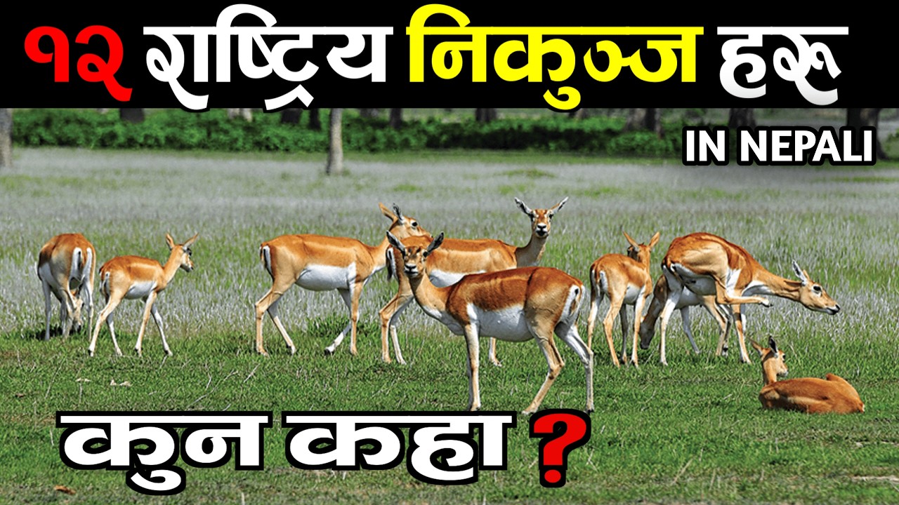 नेपालका 12 राष्ट्रिय निकुञ्जहरु || 12 National park Of Nepal || Sagarmatha ,Chitwan ,Rara, Makalu