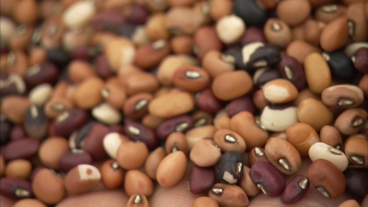 Ever hear of a Seed Keeper? | Secretly Awesome