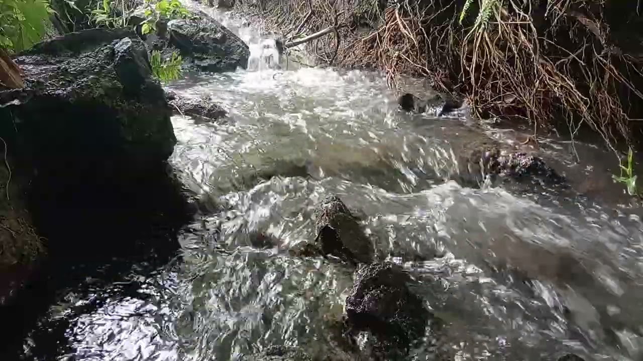 Soft Water Stream Sounds for Deep Relaxation & Peaceful Mind