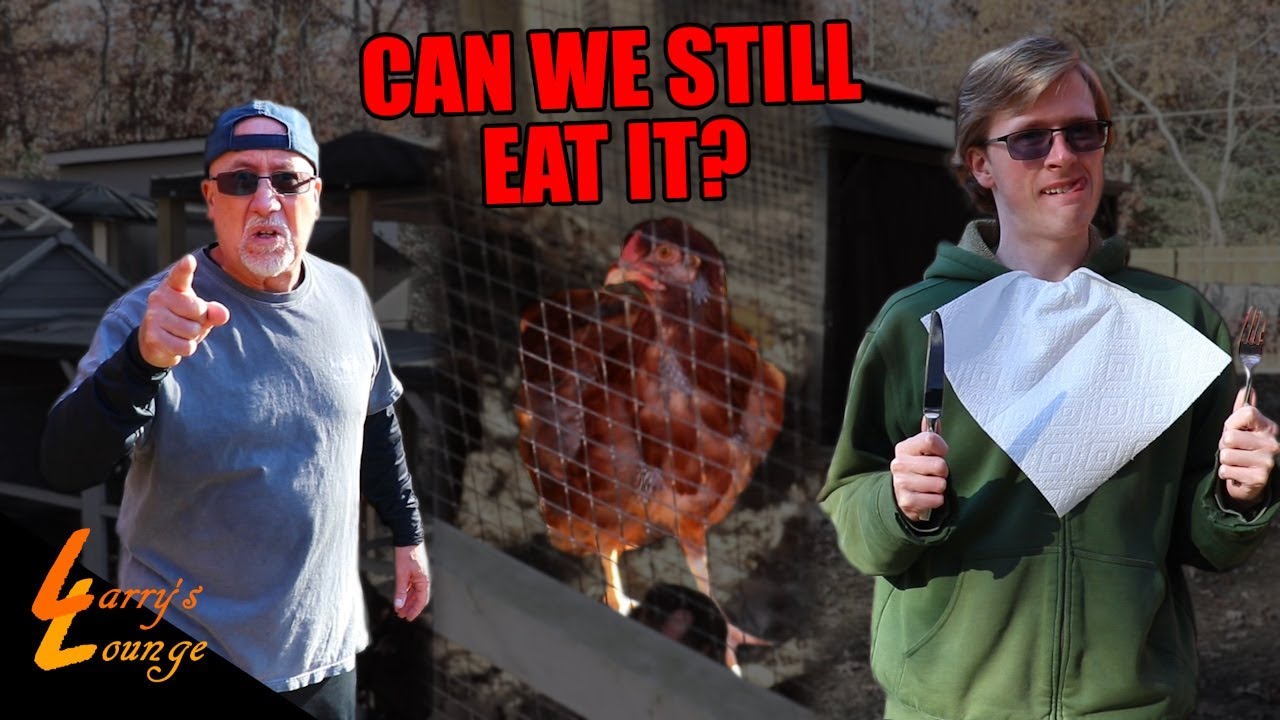 One of Our Chickens is Dying?!
