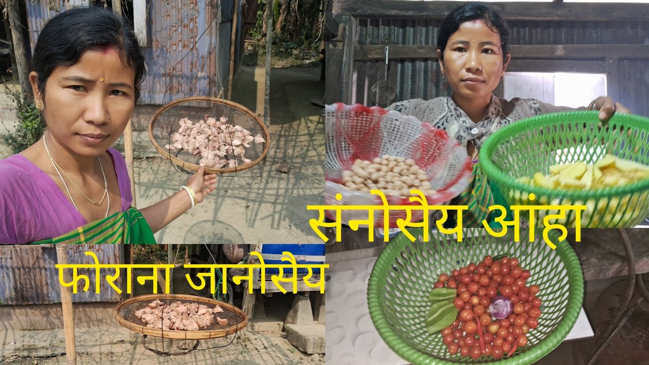 फोराना जानोसैय लोगोफोर// संनोसैय आंहा सनाफीर//