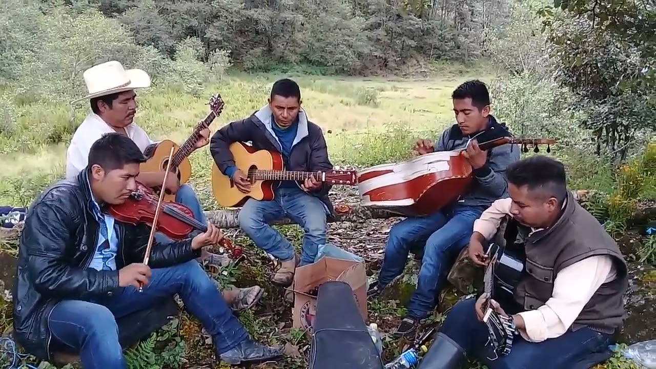 Chilena de violín Grupo Mixteco / Metlatonoc Guerrero