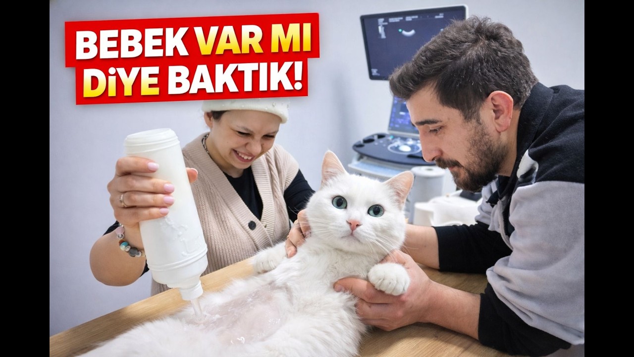 Bebiş var mı diye baktık/Klinik vlog🐱