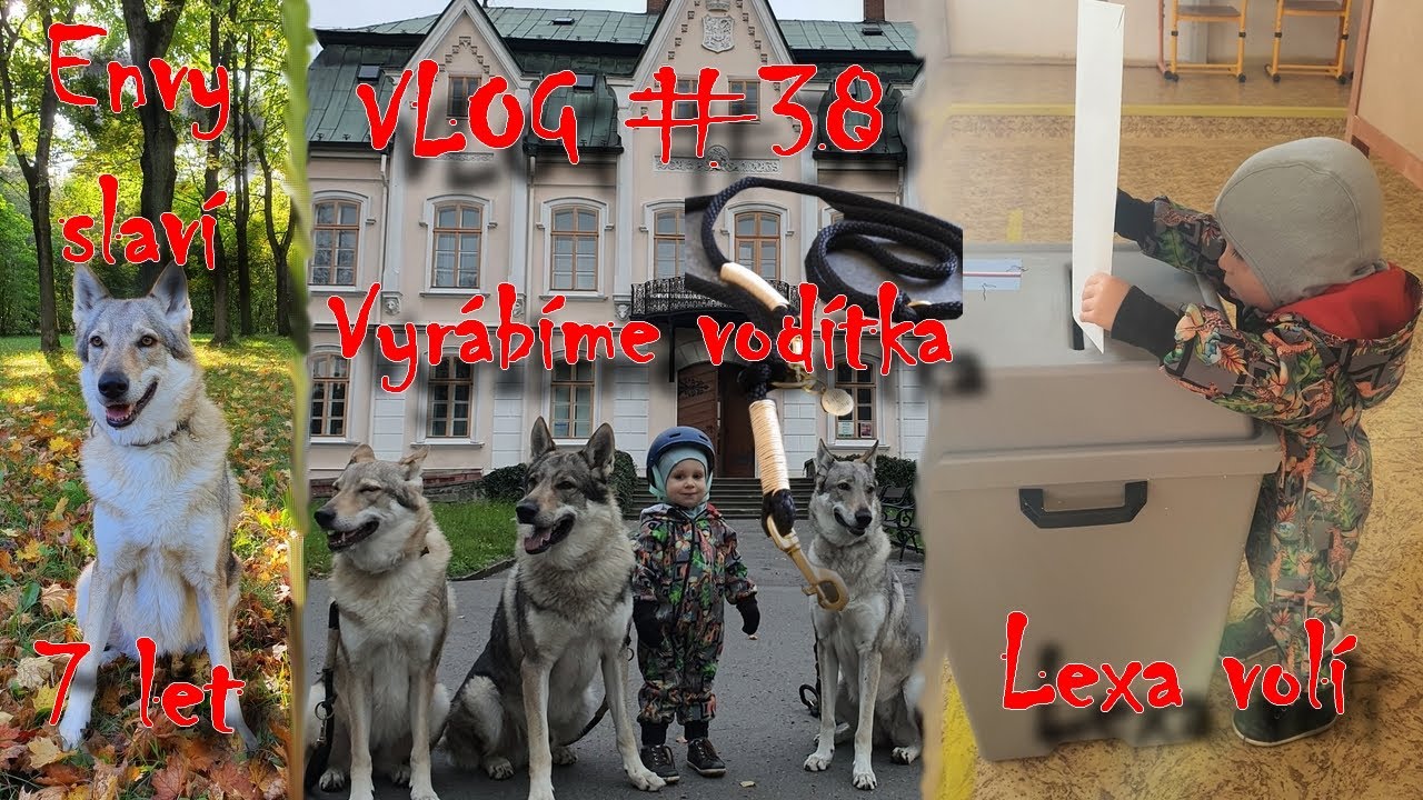 Vyrábíme vodítka, Envy slaví 7 let, se psy na očkování | VLOG #38