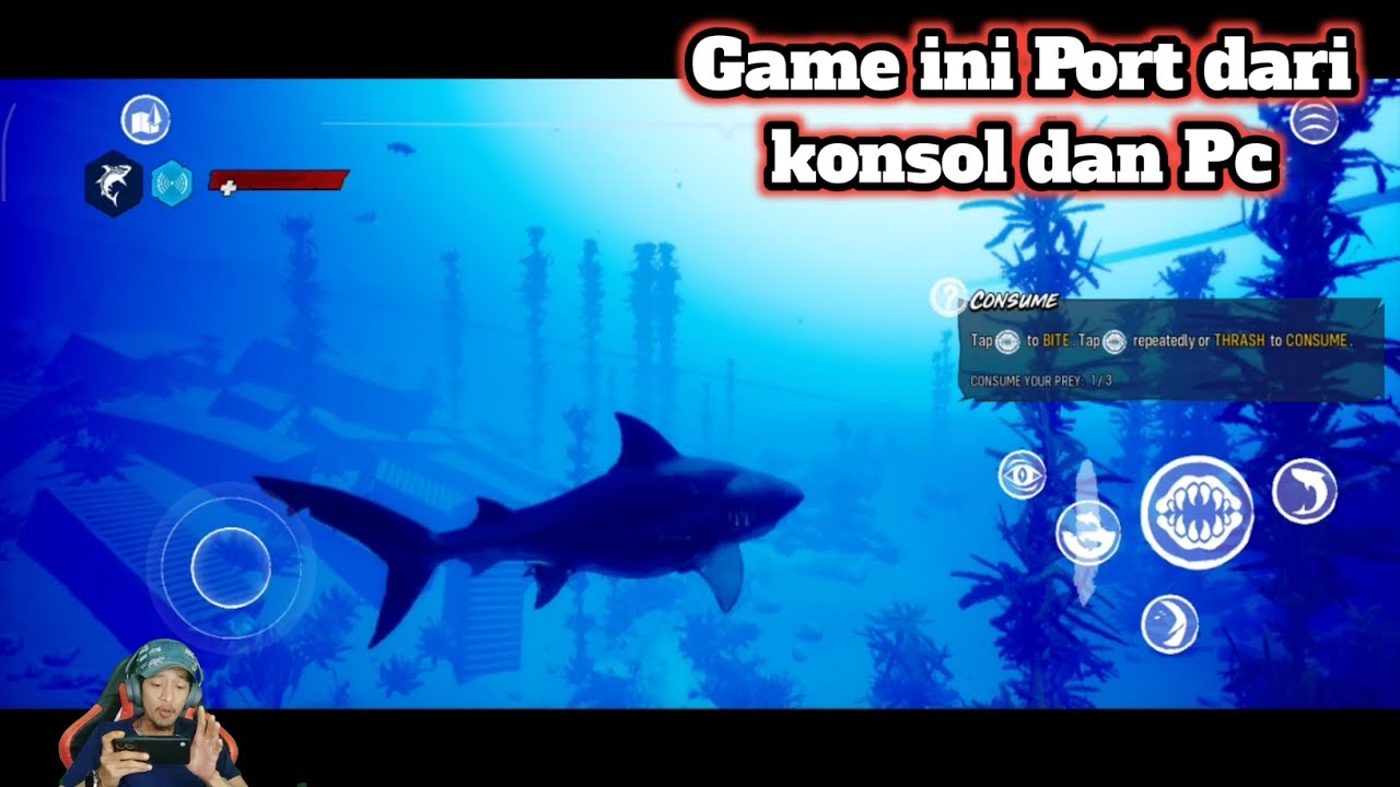 Game Ini Port Dari Konsol Dan Pc || Maneater