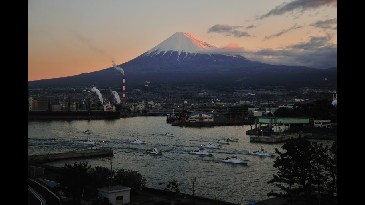 【静岡県富士市】田子の浦しらすの美味しさのヒミツに迫る！しらす漁に密着✨