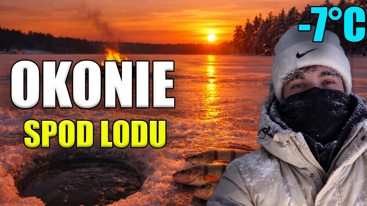 OKONIOWY RAJ SPOD LODU! 🔴🐟 | Łowienie spod lodu