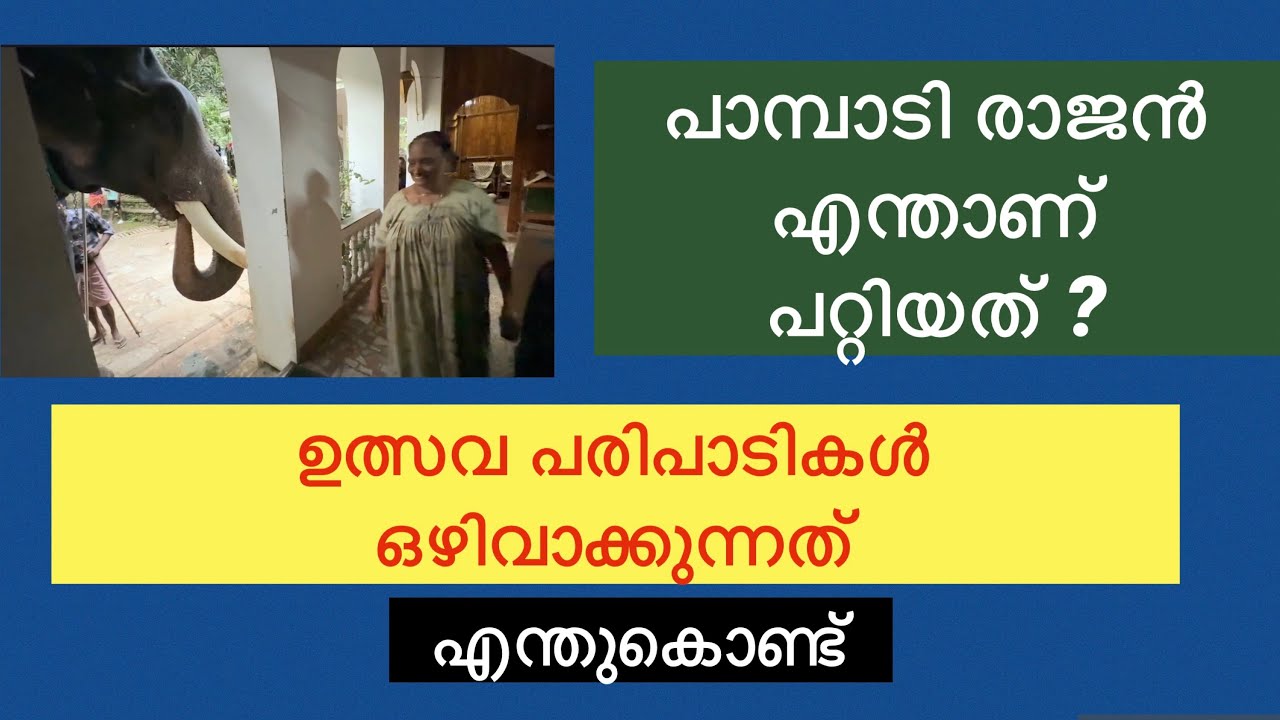 Pampady Rajan എന്താണ് പറ്റിയത്?ഉത്സവങ്ങളിൽ കാണാനില്ല@VMPRADEEP 