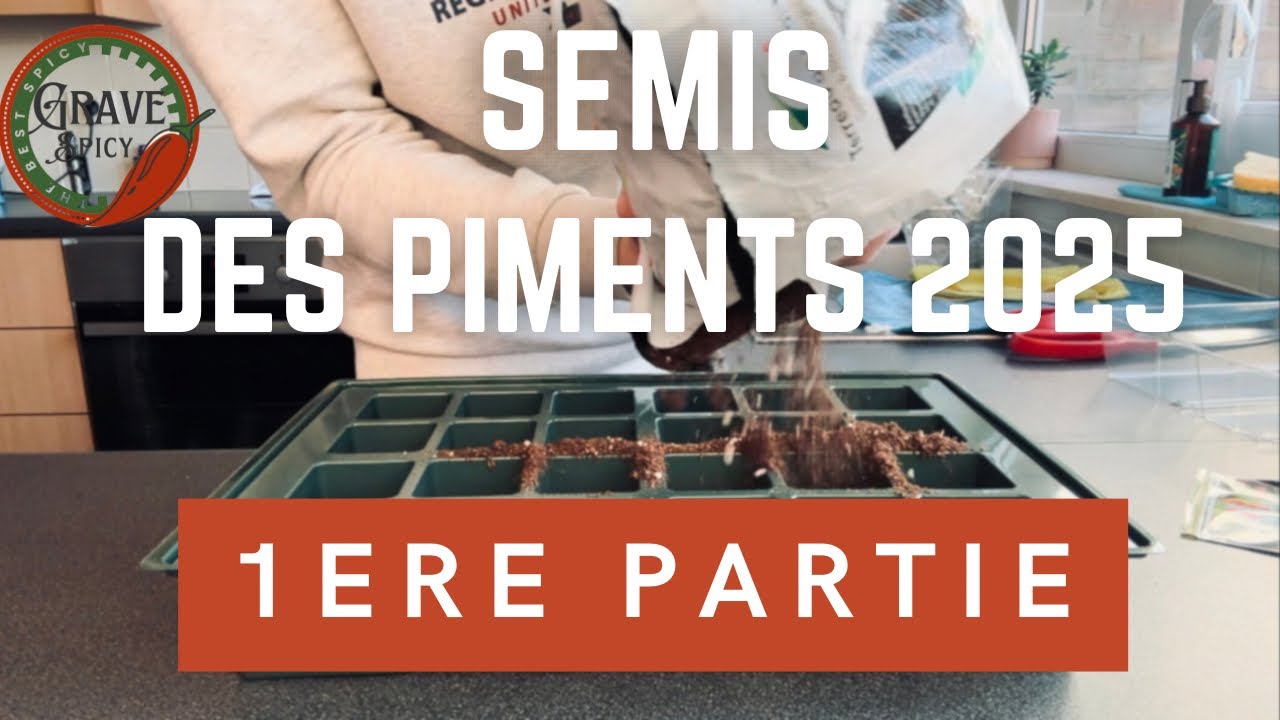 Comment SEMER des PIMENTS 2025 (1ere Partie)