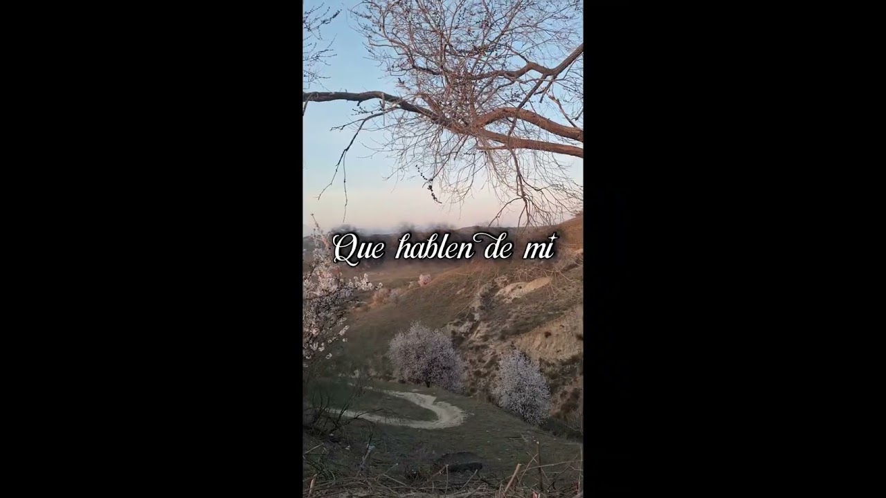 Que hablen de mi - Layah Noir