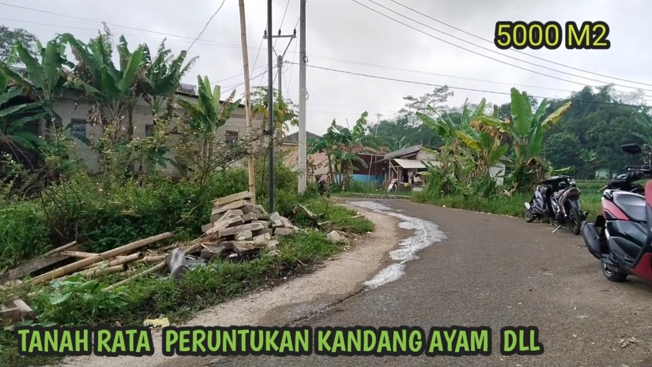 DIJUAL TANAH PERUNTUKAN KANDANG AYAM BANGUN RMH SAMBIL BERKEBUN DN INVESS