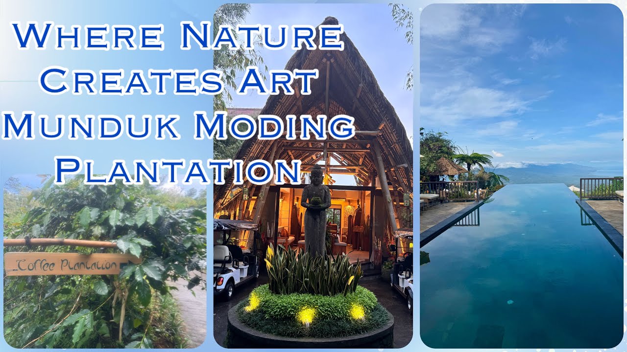 From South Bali to Munduk for unique nature immersive eco-luxury resort ​⁠@ Munduk Moding Plantation