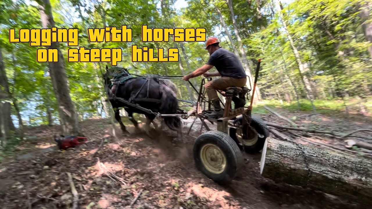 Horselogging on steep ground.