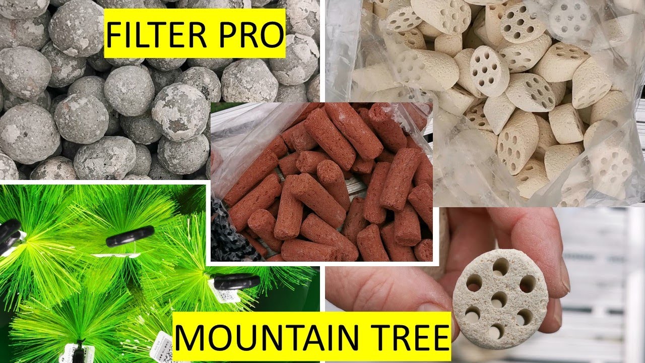 Mountain Tree + BioHome media - Nitrates in pond - Aerobic and anaerobic bacteria