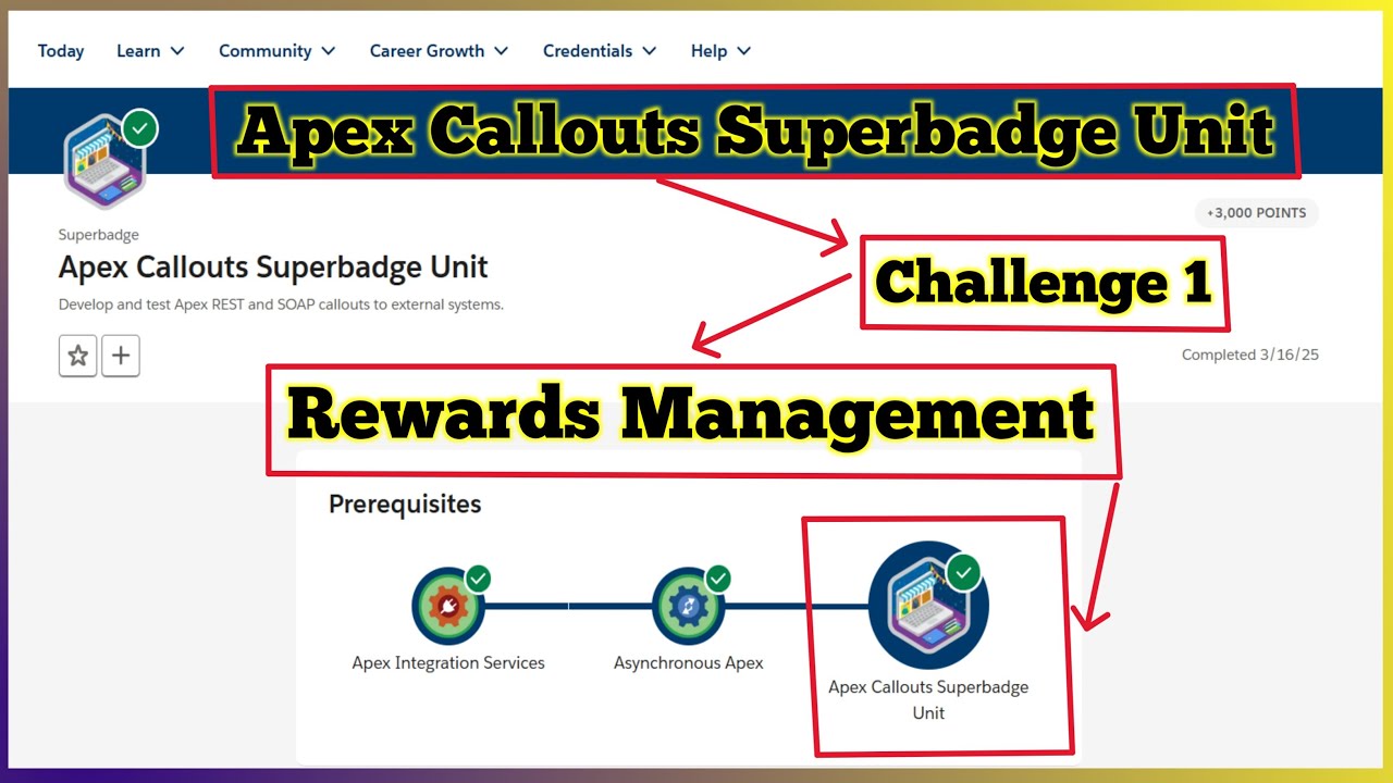 Rewards Management | Apex Callouts Superbadge Unit | Challenge 1