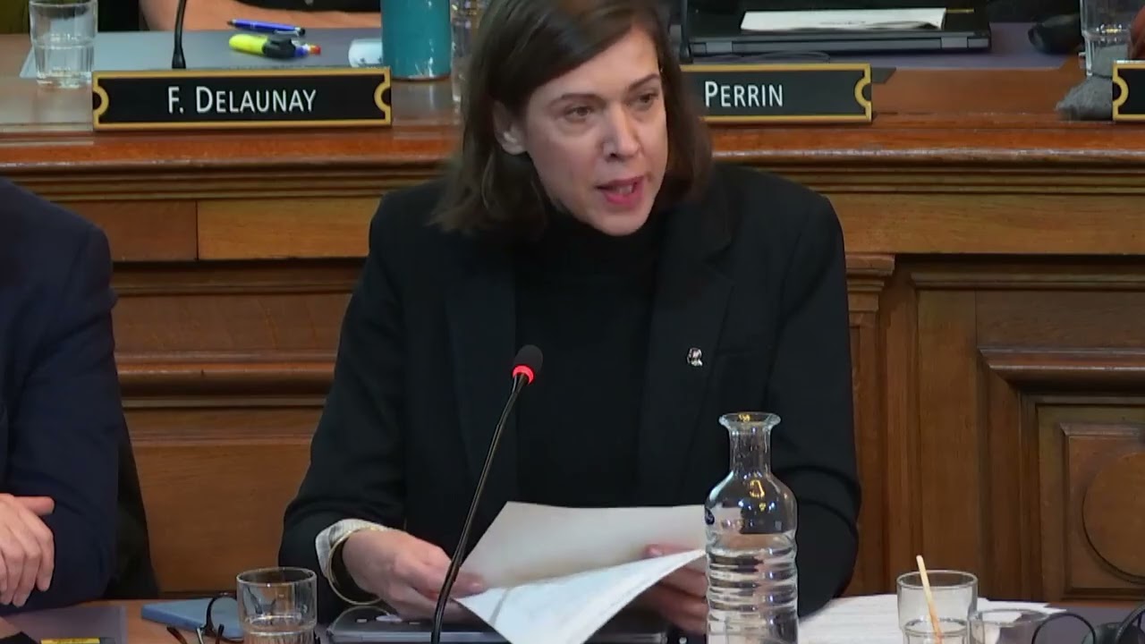 Intervention pr&eacute;alable de Sandrine Runel