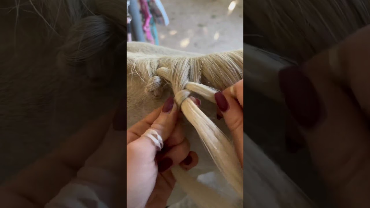 Pawn tutorial with Baile! 🎀🐴 #horse #horse #equestrian #foal #animals #competition