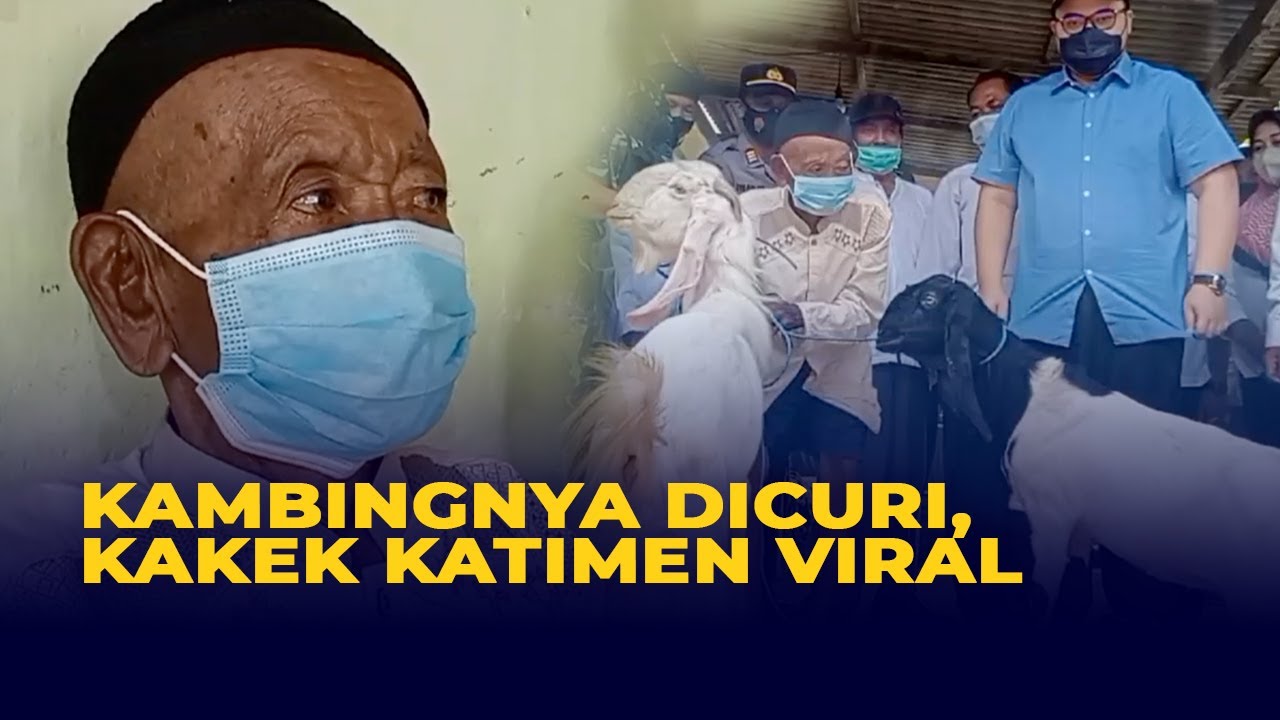 Kakek Ini Ditipu dan Kehilangan Seekor Kambing, Kisahnya Viral dan Dapat Hadiah Dua Ekor Kambing