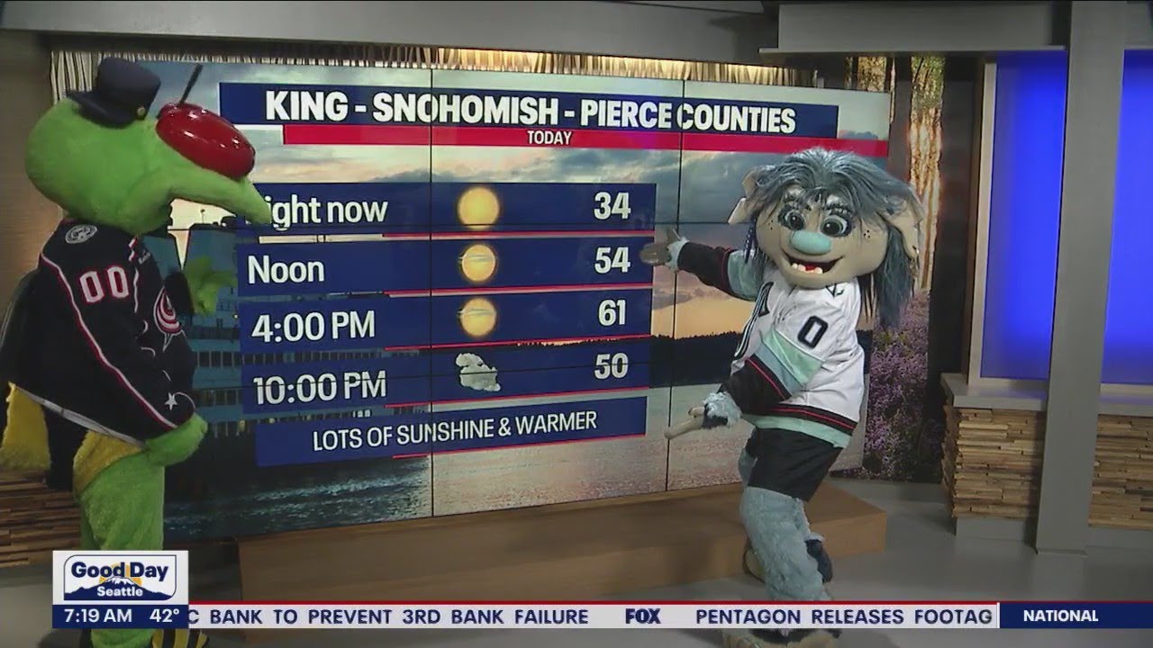 NHL Mascots take over weather, traffic on Good Day Seattle | FOX 13 Seattle