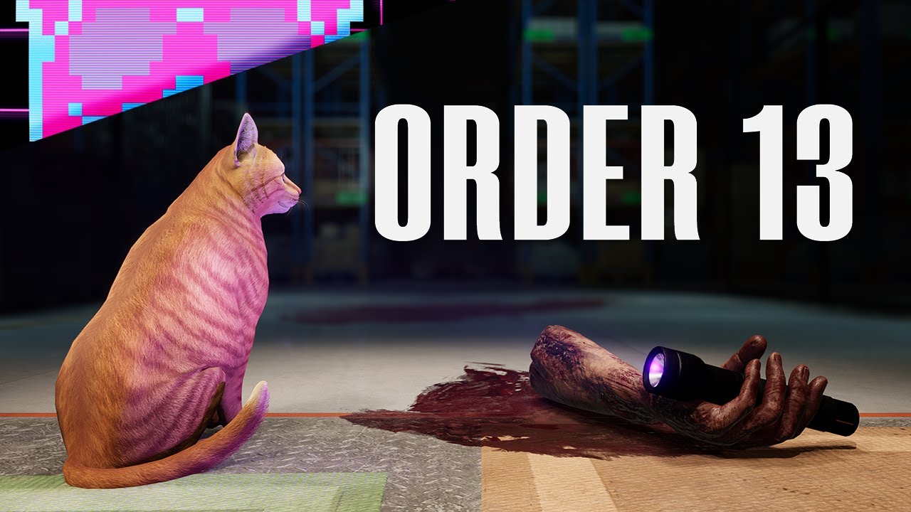 ORDER 13 FULL GAME