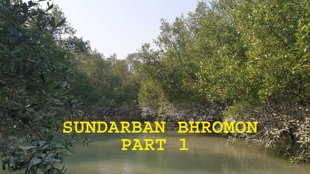 Sundarban Part 1