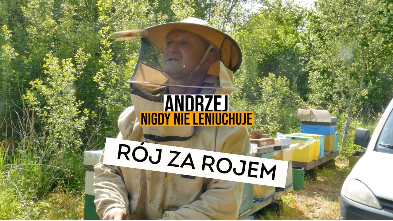 Roje pszczół na pasiece – Andrzej w akcji! 🐝 Jak pszczoły reagują na zmianę pogody? | Miody Wowka