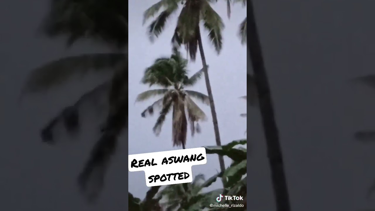 Totoong aswang itong na nakita namin.