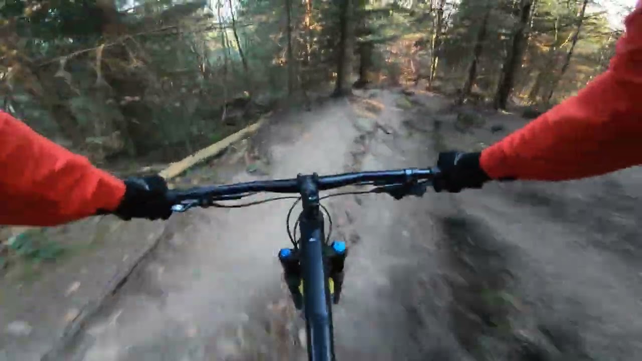 MTB Trails Offenburg - Hohes Horn Abfahrt