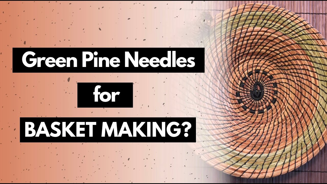 Can You Use Green Pine Needles for Basket Making? | Tips to Keep the Color & Prevent Loose Stitches