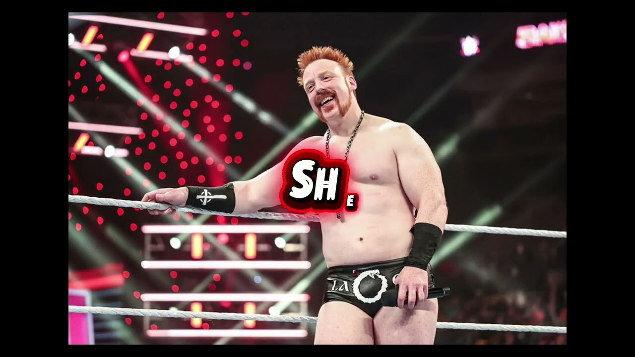 ALL ROYAL RUMBLE WINNERS