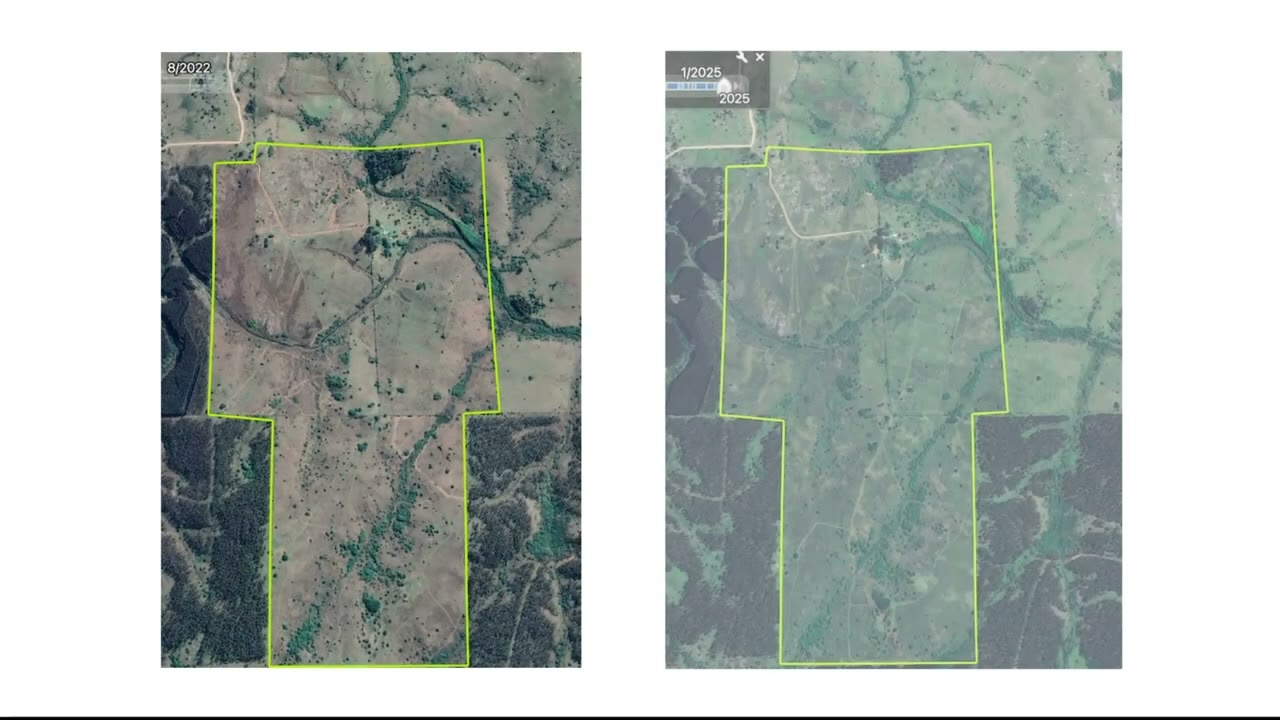 Las nativas, restauraci&oacute;n de pastizales