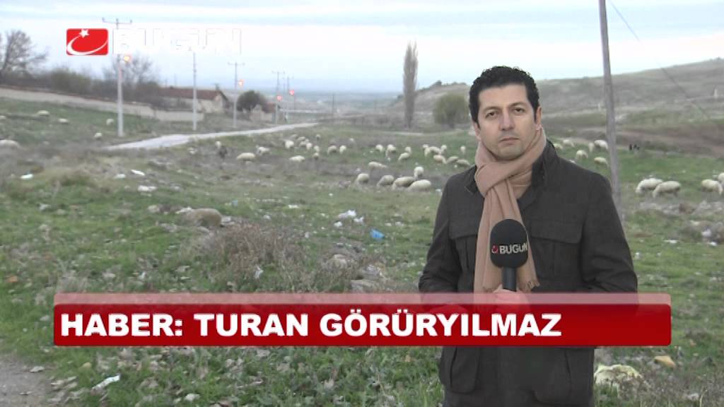 HALK, KOZA ALTINA SAHİP ÇIKTI