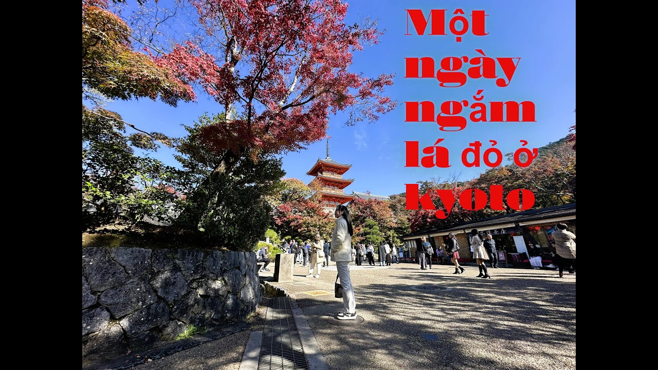Một Ngày Ngắm Lá Đỏ Ở Kyoto: Kiyomizu-dera, Phố Cổ, Kamo River & Arashiyama