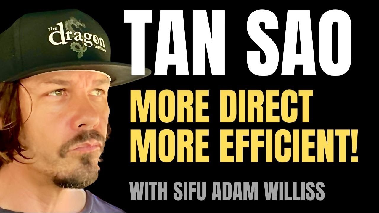 How to Do a Good Tan Sao (Direct & Efficient) - Wing Chun Lessons