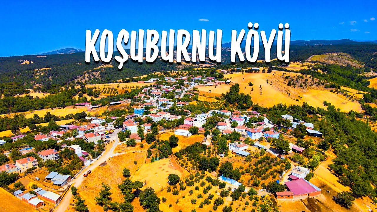Domates Üreticisi Neden Para Kazanamıyor? 🍅 (Çanakkale Koşuburnu Köyü)