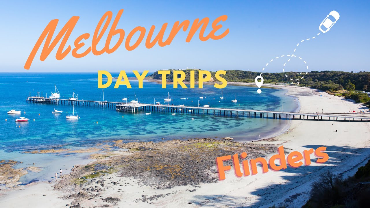 Flinders Pier, Sunflowers & Chocolate: The Perfect Day Trip