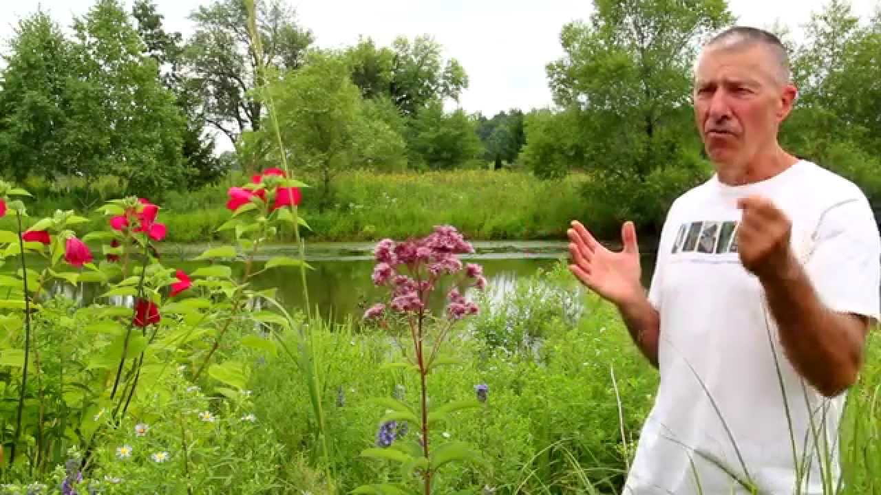 Caring for Your Wetland: Creating a Work of Art