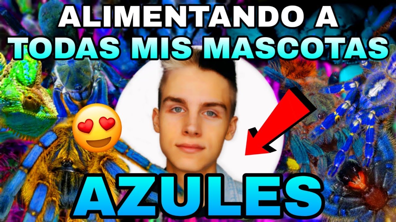 ALIMENTANDO A TODAS MIS MASCOTAS (AZULES 💙) *INCRE&Iacute;BLE* | Tag De Las Mascotas 🐾 | Tomas Pasie