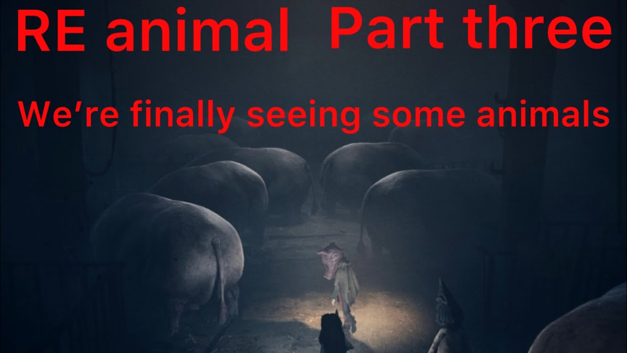 RE animal part three or finally seen some animals ￼