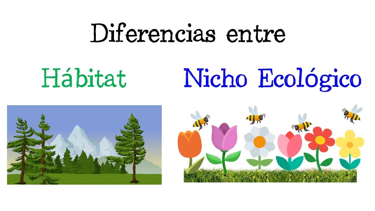 🦁 Diferencias entre H&aacute;bitat y Nicho Ecol&oacute;gico 🌳 EJEMPLO [F&aacute;cil y R&aacute;pido] | BIOLOG&Iacute;A |