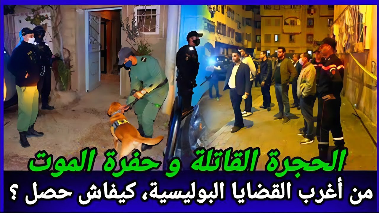 كيف اكتشفت الفاعل الحقيقي في هاتين القضيتين الغامضتين؟ تحقيقات معمقة في قضيتين من أغرب القضايا