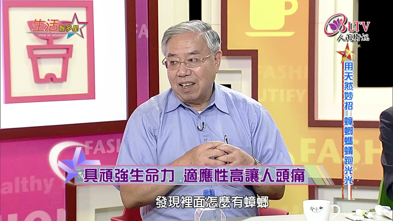 生活智多星 第46集－用天然妙招 蟑螂螞蟻跑光光