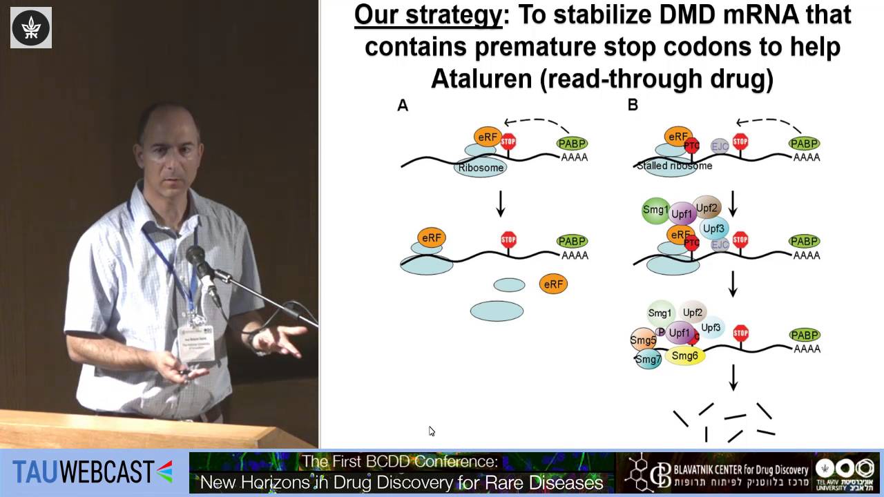 Inhibition of nonsense mediated mRNA decay to improve stop codon read-through therapy
