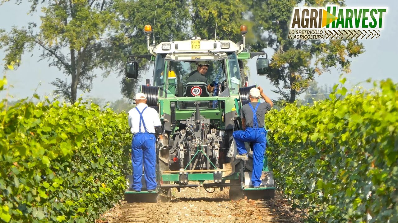 Vineyard and sub irrigation: Rivulis D5000 PCAS | La sub-irrigazione in vigneto: Rivulis D5000 PCAS